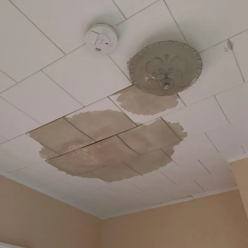 Ceiling Water Damage Repair in Colonial Pine Hills, SD