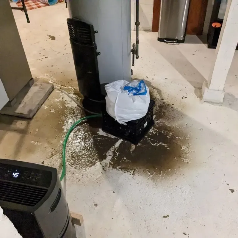 Sewage Backup Cleanup Service in Colonial Pine Hills, SD